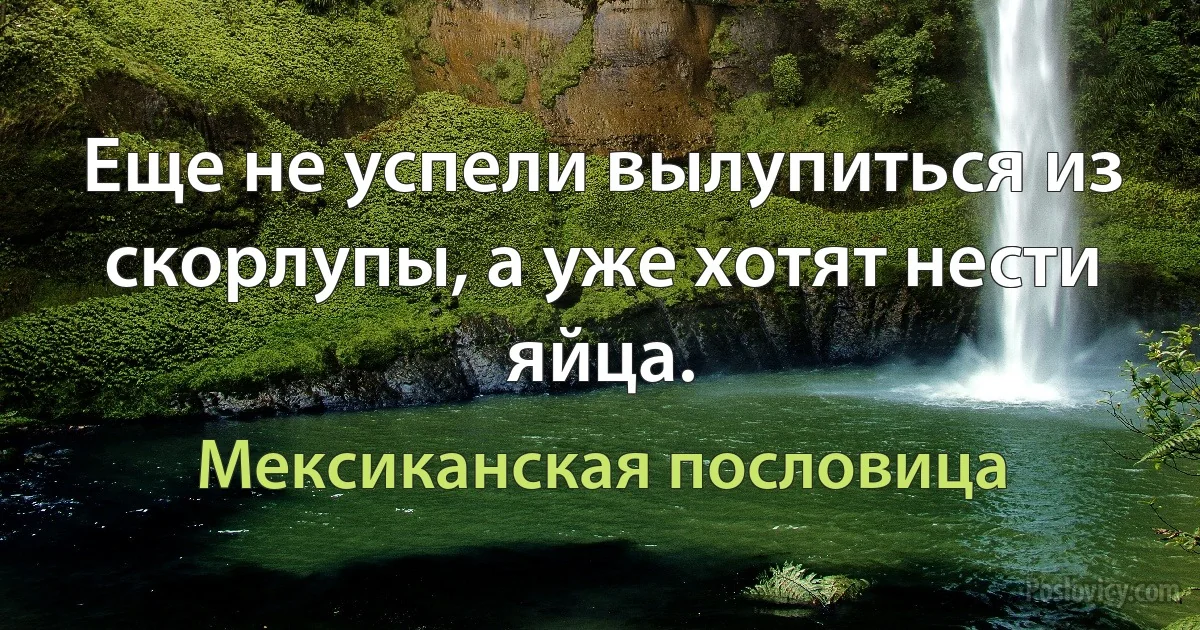 Еще не успели вылупиться из скорлупы, а уже хотят нести яйца. (Мексиканская пословица)