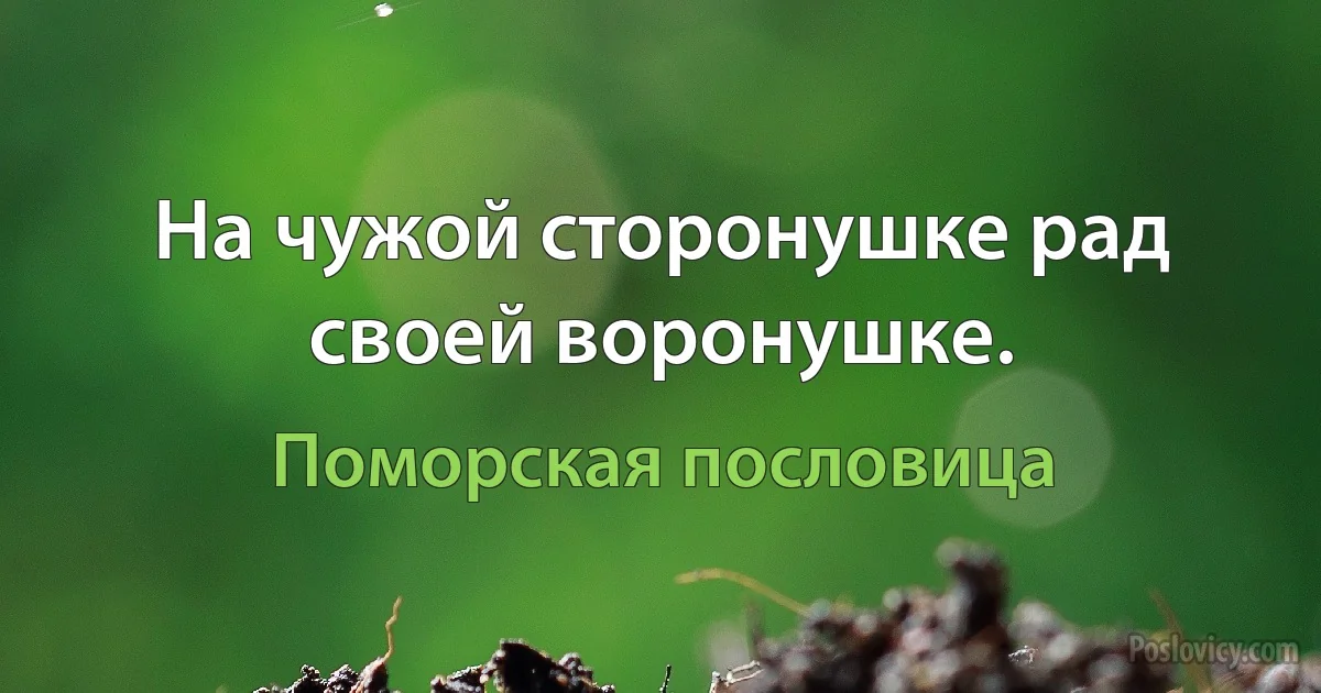 На чужой сторонушке рад своей воронушке. (Поморская пословица)