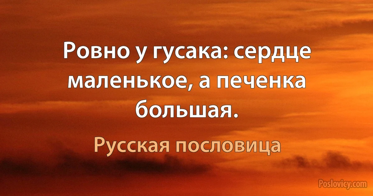 Ровно у гусака: сердце маленькое, а печенка большая. (Русская пословица)