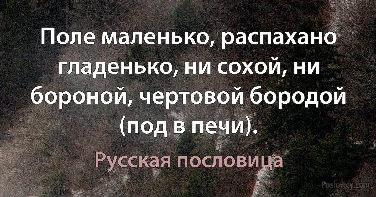 Поле маленько, распахано гладенько, ни сохой, ни бороной, чертовой бородой (под в печи). (Русская пословица)