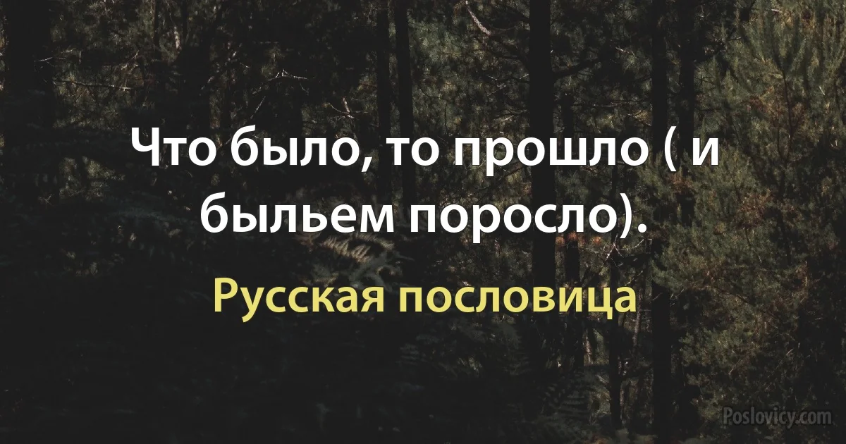 Что было, то прошло ( и быльем поросло). (Русская пословица)