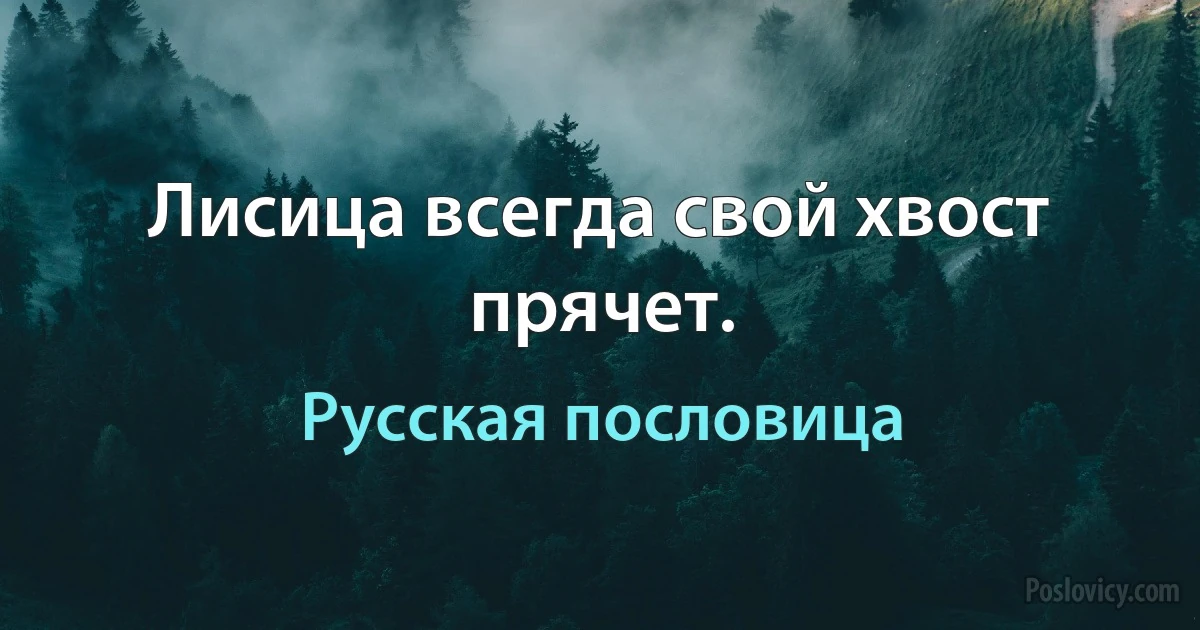 Лисица всегда свой хвост прячет. (Русская пословица)