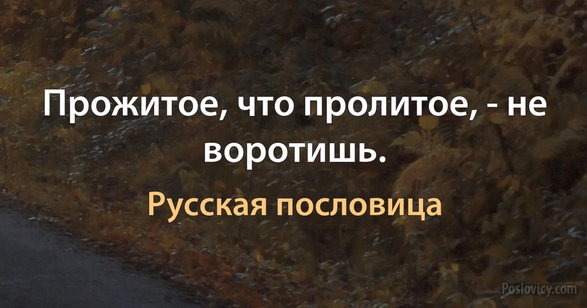 Прожитое, что пролитое, - не воротишь. (Русская пословица)