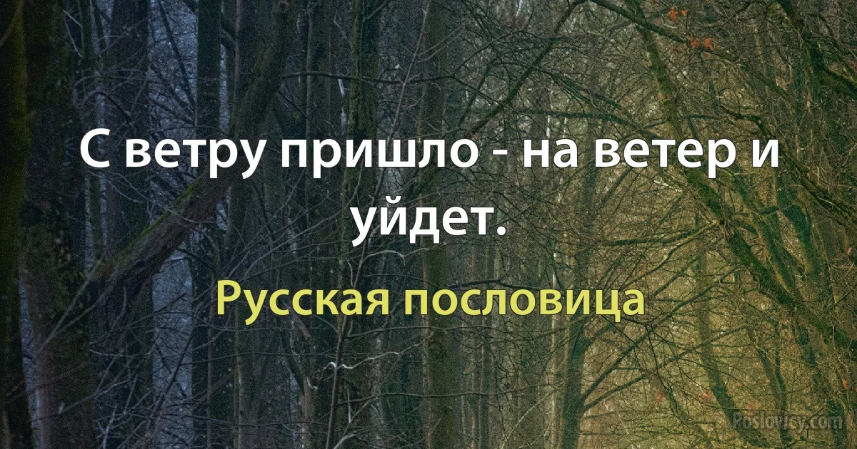 С ветру пришло - на ветер и уйдет. (Русская пословица)