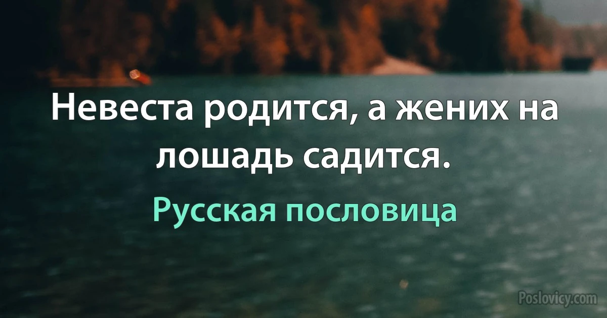 Невеста родится, а жених на лошадь садится. (Русская пословица)