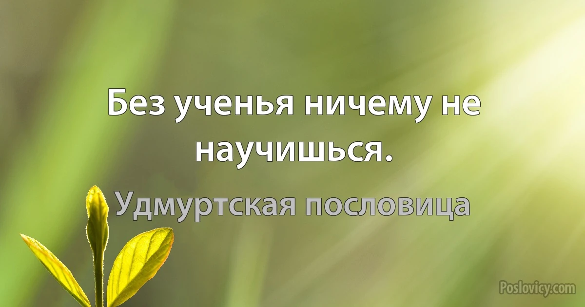 Без ученья ничему не научишься. (Удмуртская пословица)