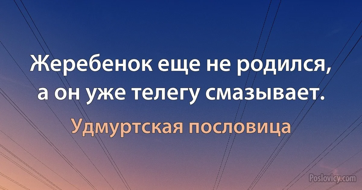 Жеребенок еще не родился, а он уже телегу смазывает. (Удмуртская пословица)