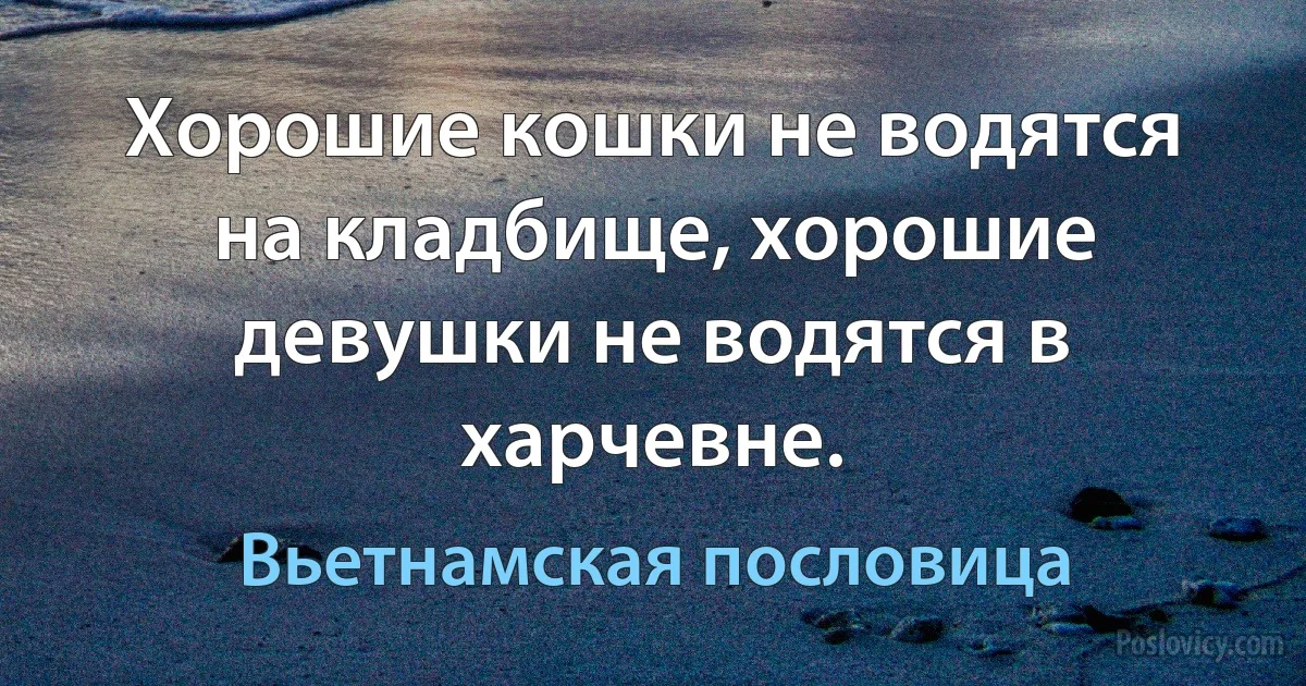 Хорошие кошки не водятся на кладбище, хорошие девушки не водятся в харчевне. (Вьетнамская пословица)