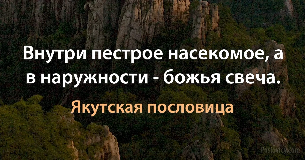 Внутри пестрое насекомое, а в наружности - божья свеча. (Якутская пословица)