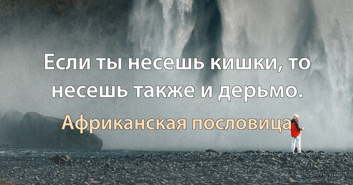 Если ты несешь кишки, то несешь также и дерьмо. (Африканская пословица)