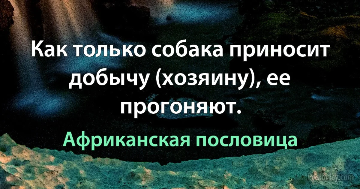 Как только собака приносит добычу (хозяину), ее прогоняют. (Африканская пословица)