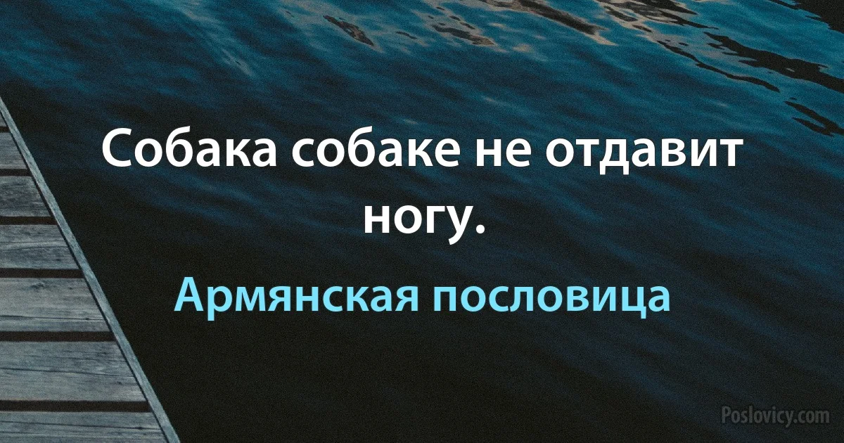 Собака собаке не отдавит ногу. (Армянская пословица)