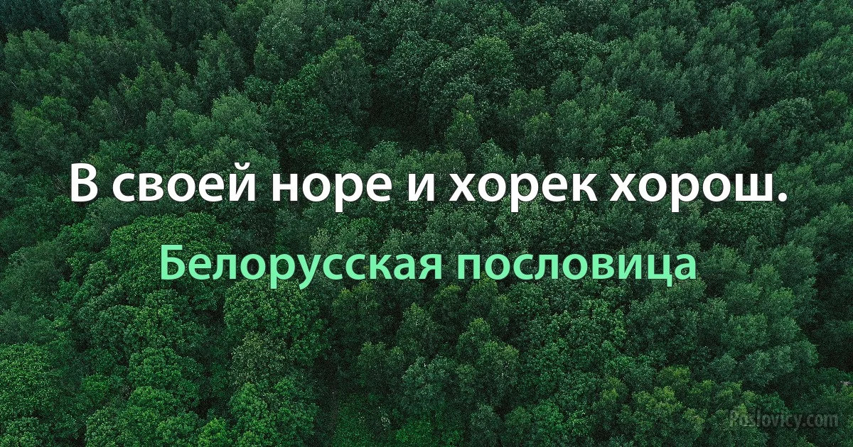 В своей норе и хорек хорош. (Белорусская пословица)