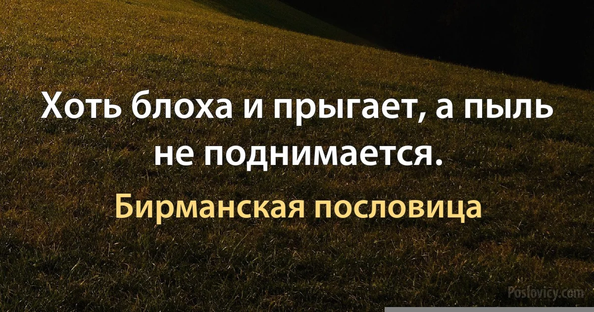 Хоть блоха и прыгает, а пыль не поднимается. (Бирманская пословица)