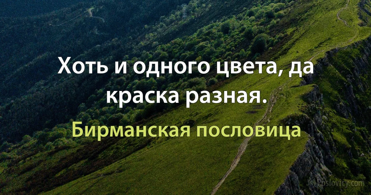 Хоть и одного цвета, да краска разная. (Бирманская пословица)