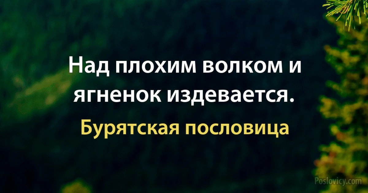 Над плохим волком и ягненок издевается. (Бурятская пословица)