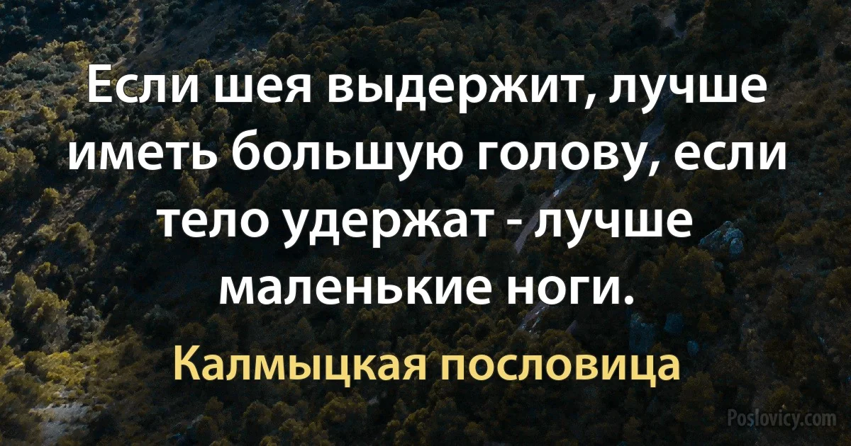 Если шея выдержит, лучше иметь большую голову, если тело удержат - лучше маленькие ноги. (Калмыцкая пословица)