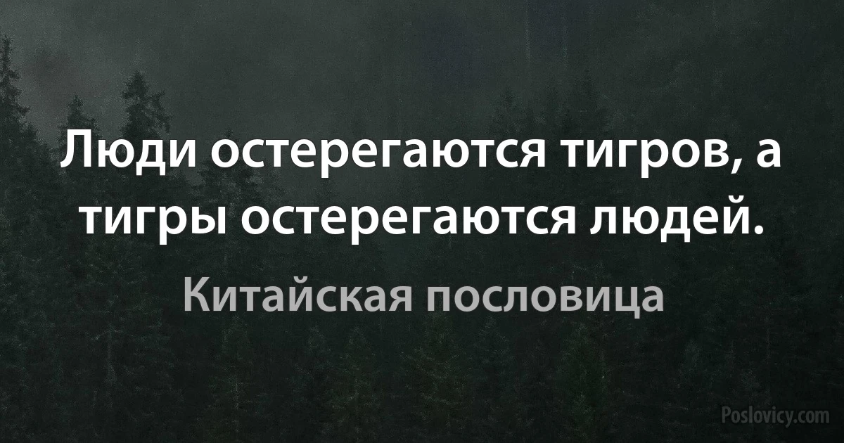 Люди остерегаются тигров, а тигры остерегаются людей. (Китайская пословица)