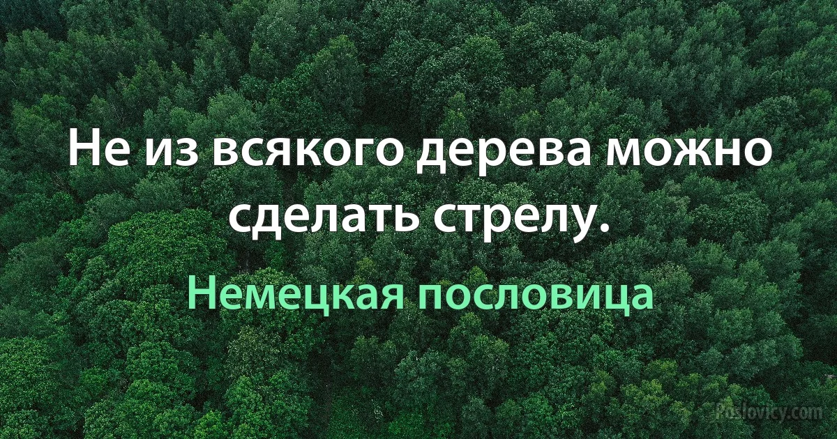 Не из всякого дерева можно сделать стрелу. (Немецкая пословица)