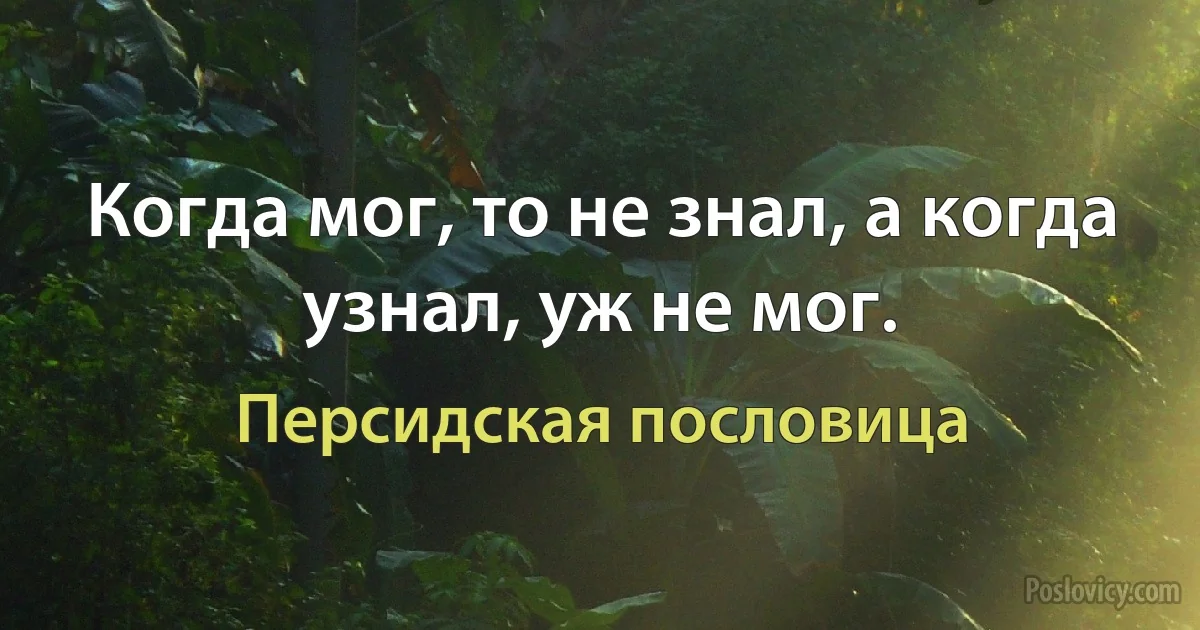 Когда мог, то не знал, а когда узнал, уж не мог. (Персидская пословица)