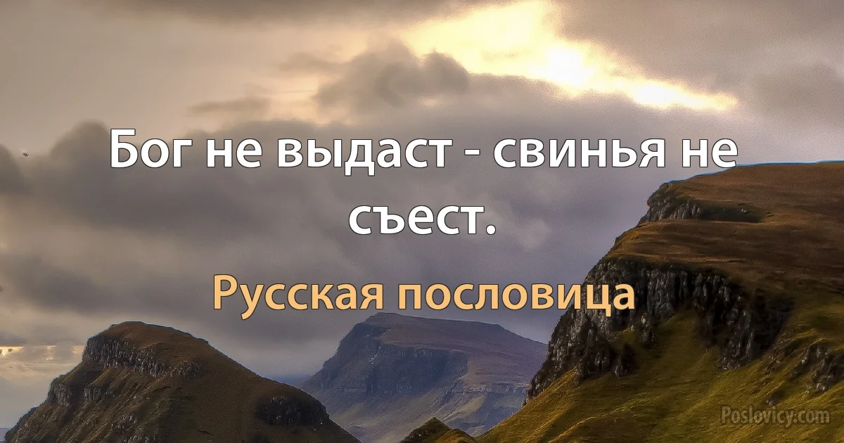 Бог не выдаст - свинья не съест. (Русская пословица)