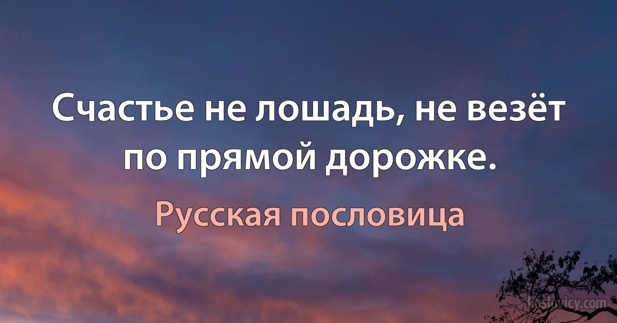 Счастье не лошадь, не везёт по прямой дорожке. (Русская пословица)