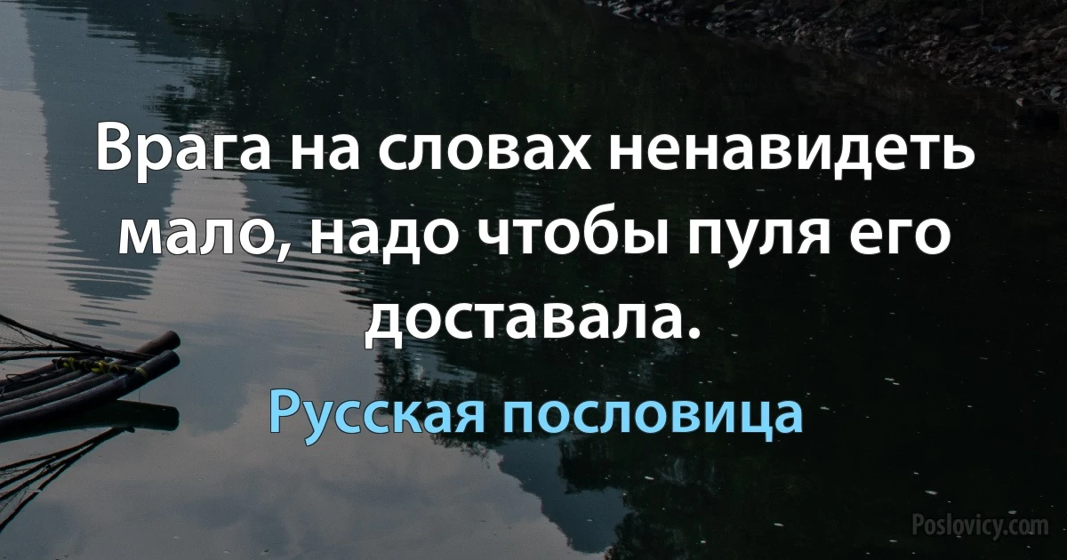 Врага на словах ненавидеть мало, надо чтобы пуля его доставала. (Русская пословица)