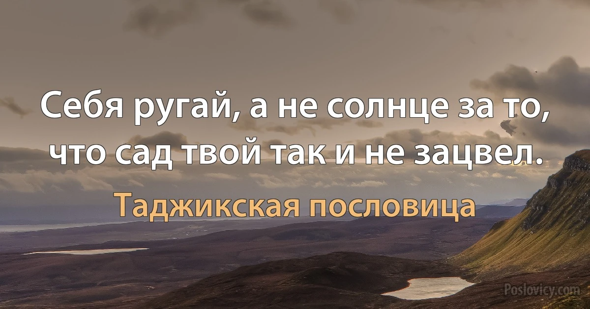 Себя ругай, а не солнце за то, что сад твой так и не зацвел. (Таджикская пословица)