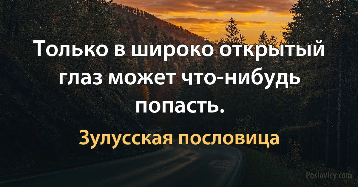 Только в широко открытый глаз может что-нибудь попасть. (Зулусская пословица)