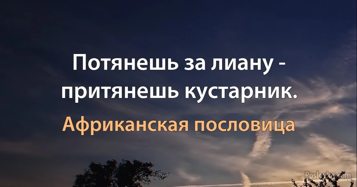 Потянешь за лиану - притянешь кустарник. (Африканская пословица)