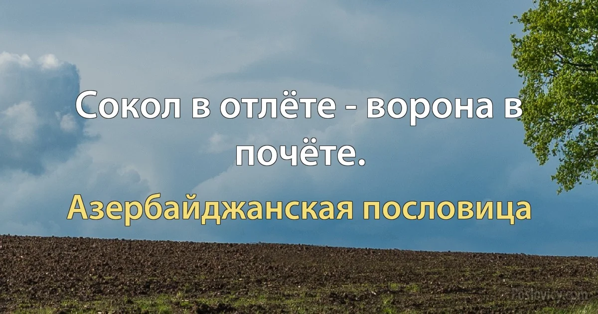 Сокол в отлёте - ворона в почёте. (Азербайджанская пословица)