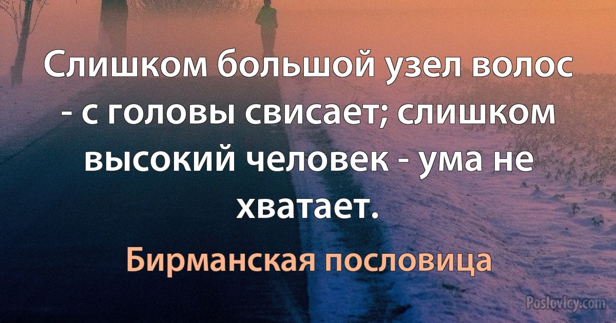 Слишком большой узел волос - с головы свисает; слишком высокий человек - ума не хватает. (Бирманская пословица)