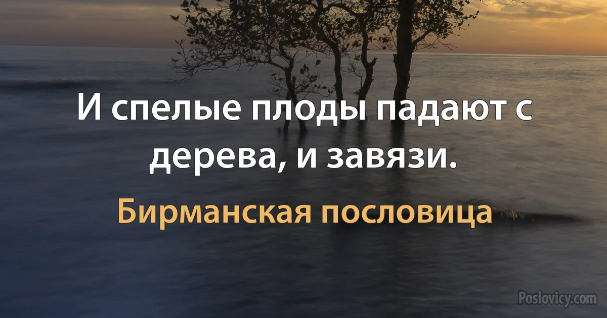 И спелые плоды падают с дерева, и завязи. (Бирманская пословица)