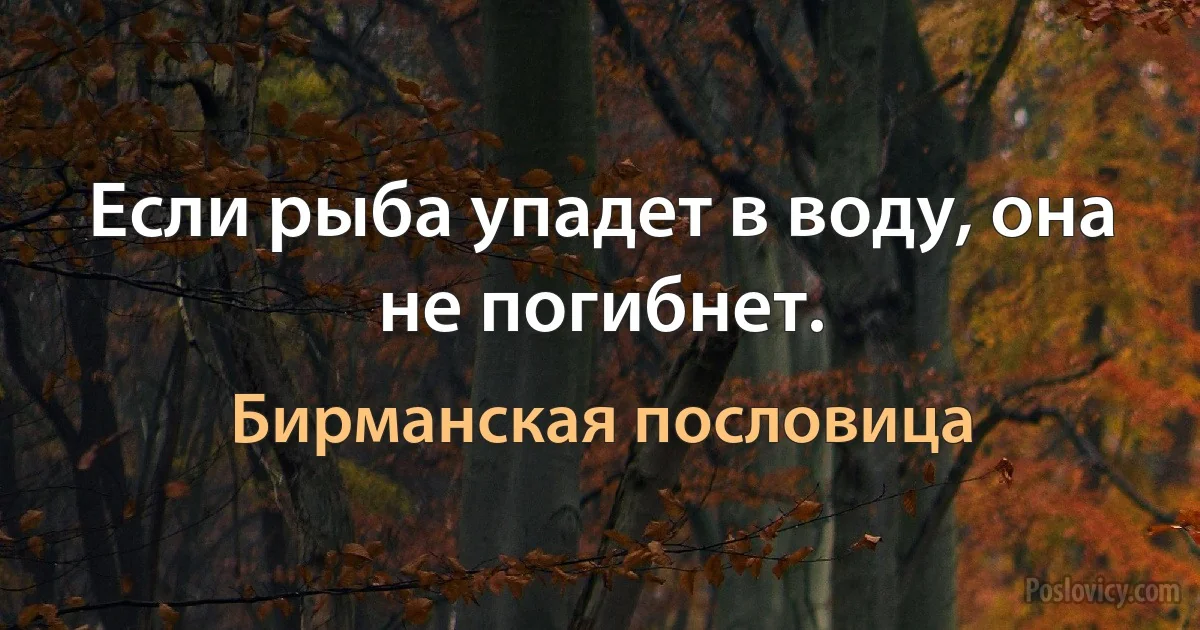 Если рыба упадет в воду, она не погибнет. (Бирманская пословица)