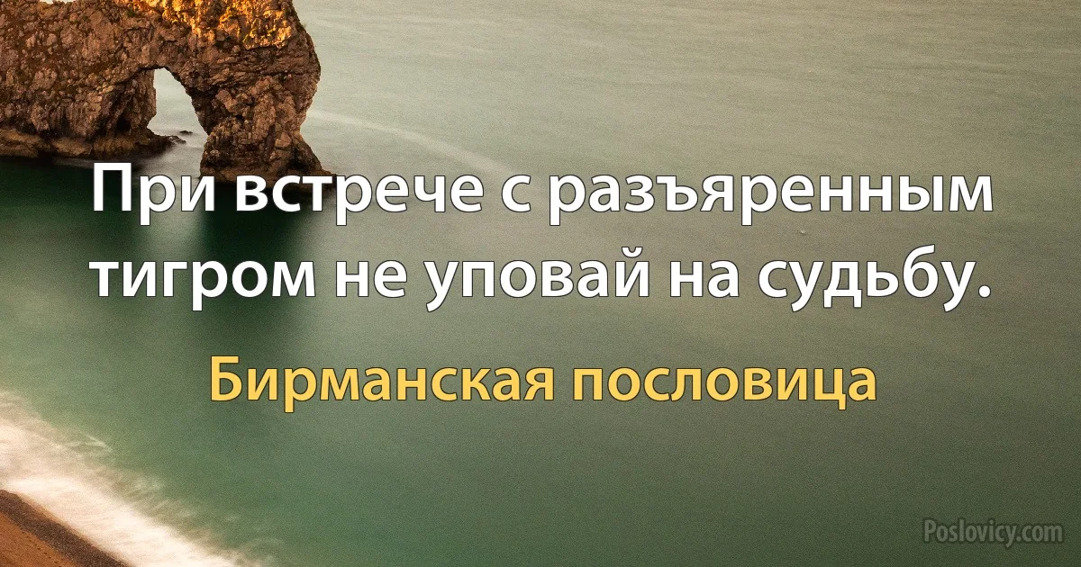 При встрече с разъяренным тигром не уповай на судьбу. (Бирманская пословица)