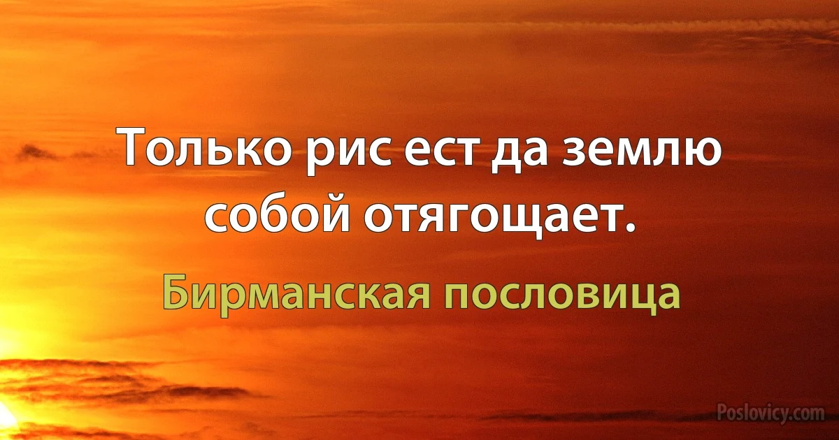 Только рис ест да землю собой отягощает. (Бирманская пословица)