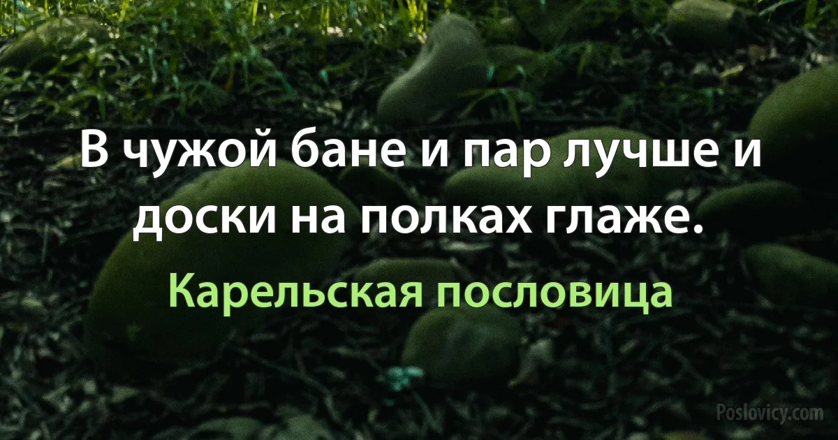 В чужой бане и пар лучше и доски на полках глаже. (Карельская пословица)