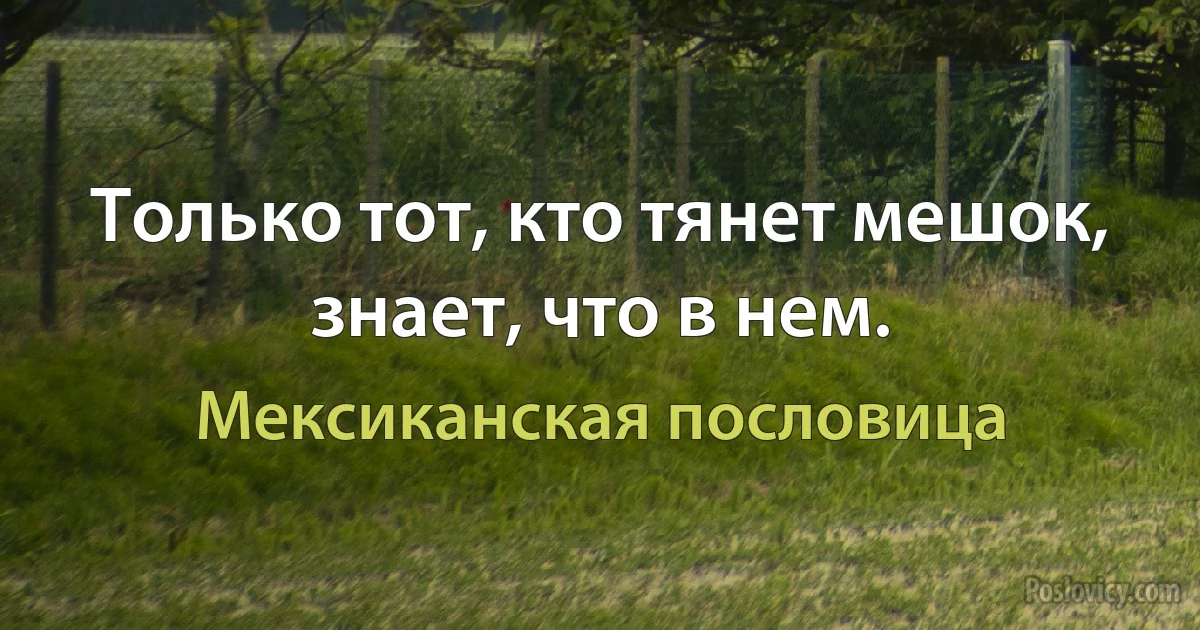 Только тот, кто тянет мешок, знает, что в нем. (Мексиканская пословица)