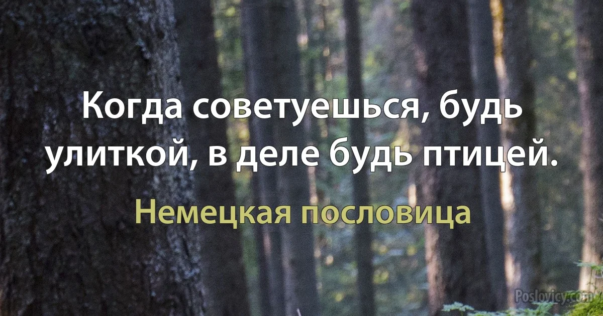 Когда советуешься, будь улиткой, в деле будь птицей. (Немецкая пословица)