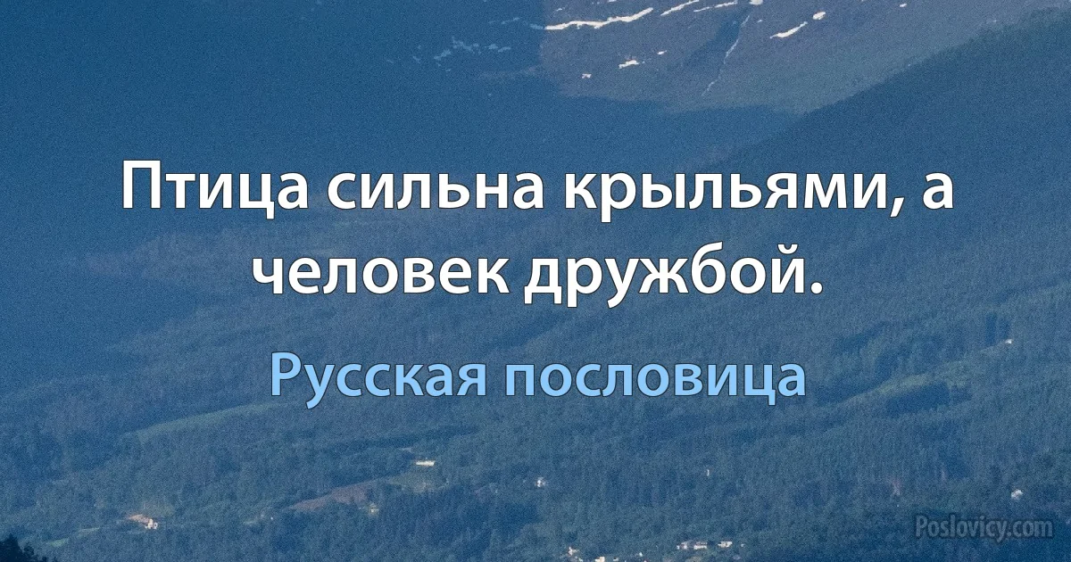 Птица сильна крыльями, а человек дружбой. (Русская пословица)