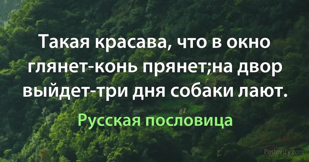 Такая красава, что в окно глянет-конь прянет;на двор выйдет-три дня собаки лают. (Русская пословица)