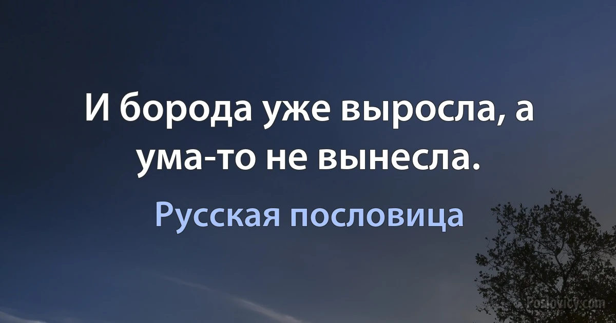 И борода уже выросла, а ума-то не вынесла. (Русская пословица)