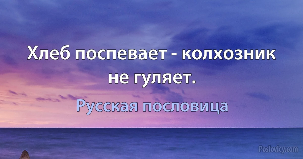 Хлеб поспевает - колхозник не гуляет. (Русская пословица)