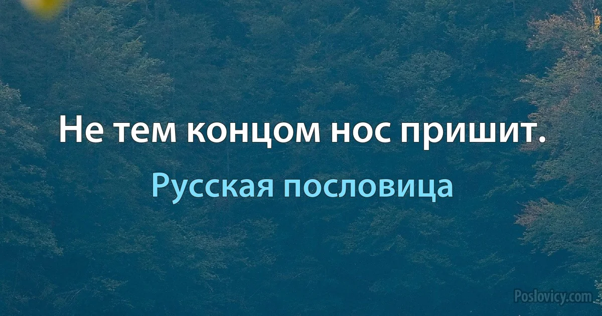 Не тем концом нос пришит. (Русская пословица)