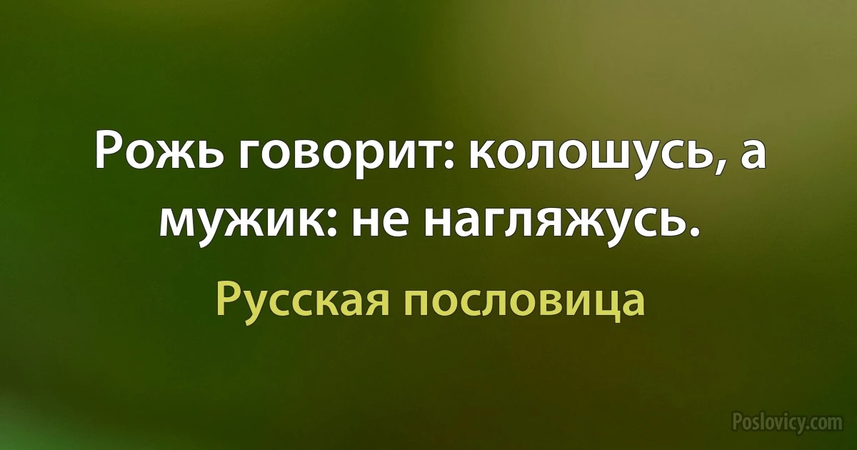 Рожь говорит: колошусь, а мужик: не нагляжусь. (Русская пословица)