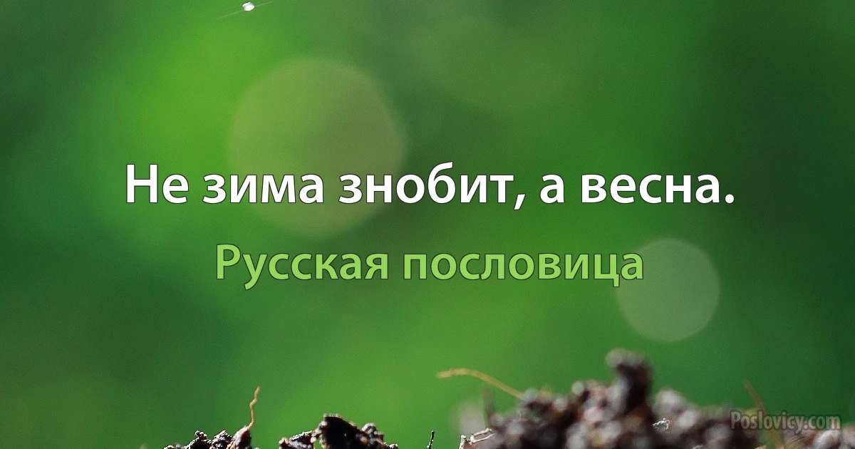 Не зима знобит, а весна. (Русская пословица)