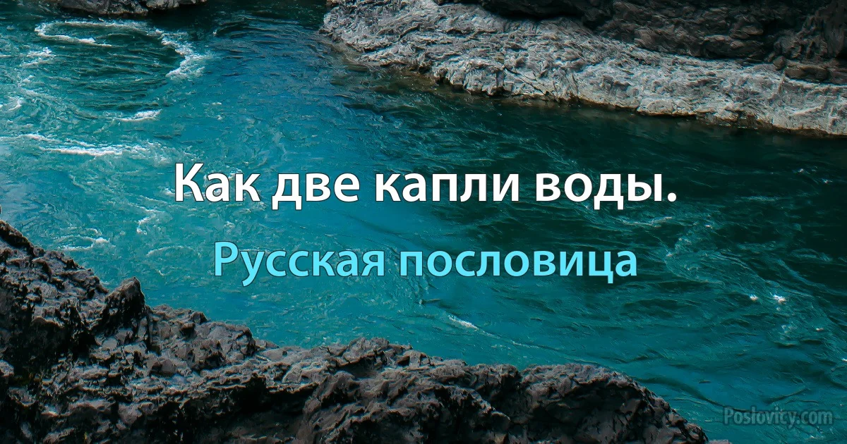 Как две капли воды. (Русская пословица)