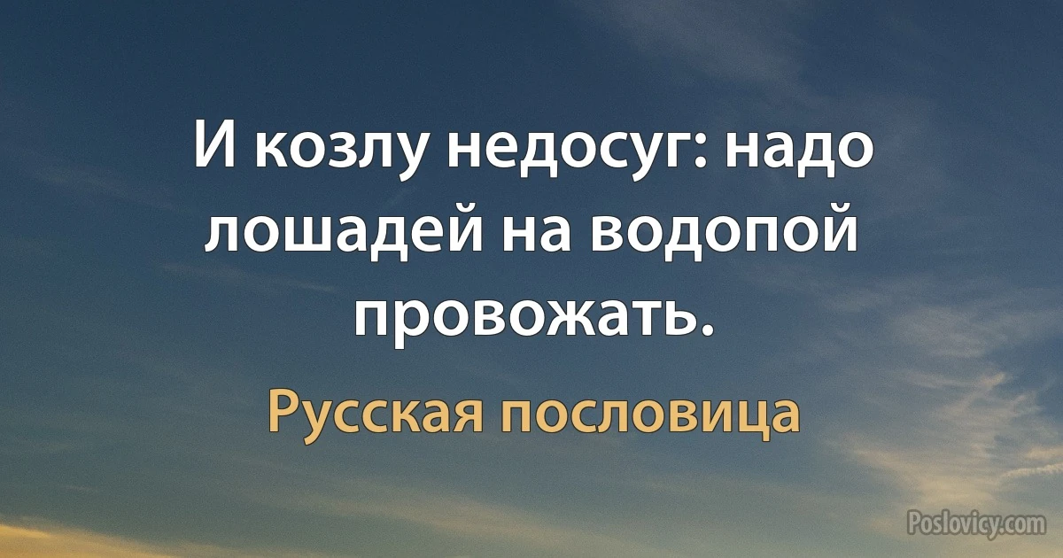 И козлу недосуг: надо лошадей на водопой провожать. (Русская пословица)