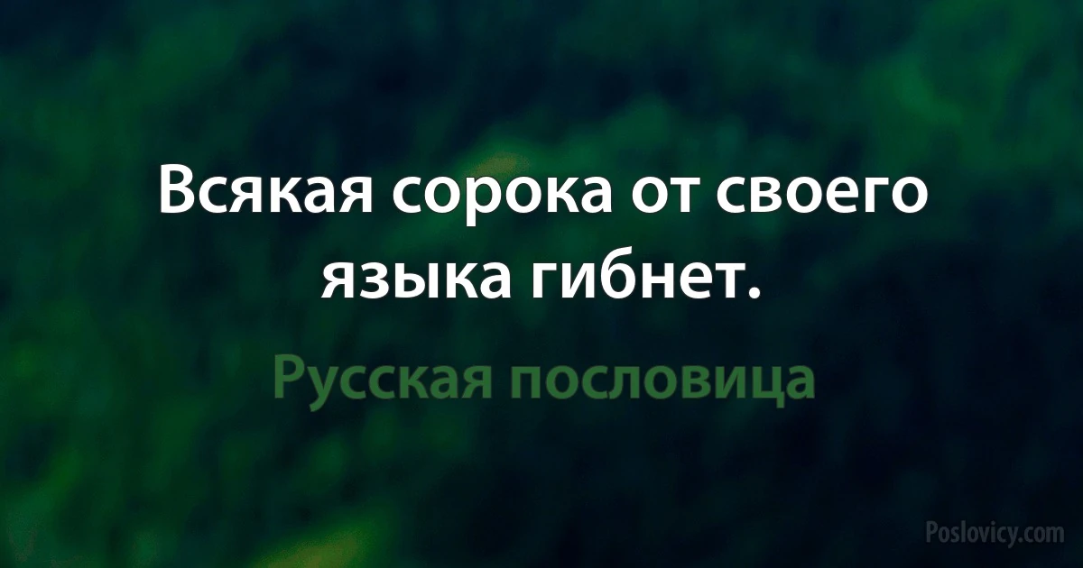 Всякая сорока от своего языка гибнет. (Русская пословица)