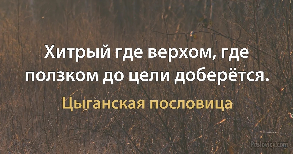 Хитрый где верхом, где ползком до цели доберётся. (Цыганская пословица)